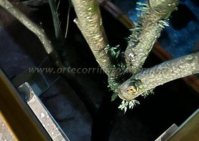 Guarda corpo chapa perfurada (54)